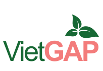 Products are manufactured in VietGAP process