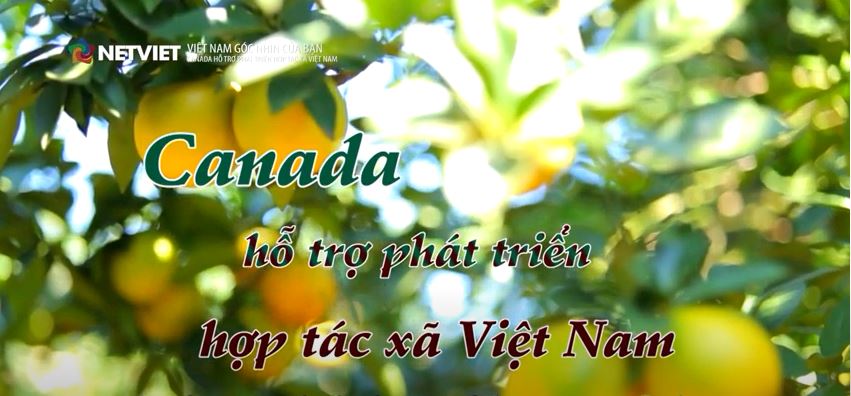 Canada hỗ trợ phát triển các Hợp tác xã tại Việt Nam 