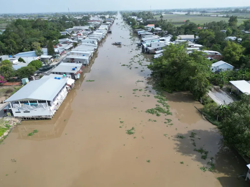 Designing for the Delta: Climate-Resilient Construction Strategies for Ben Tre's Flood-Prone Landscape