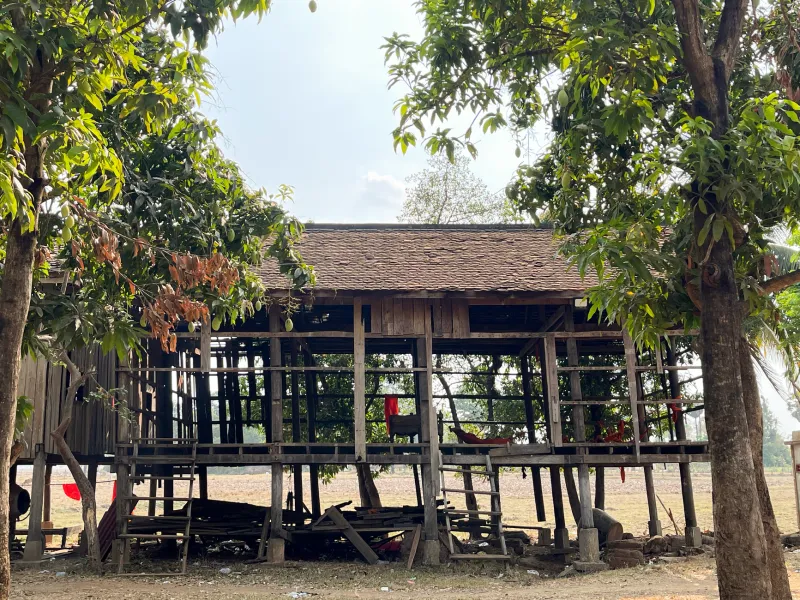 Design It Out, Don't Spray It Down: Ben Tre's Answer to the $5 Billion Termite Problem