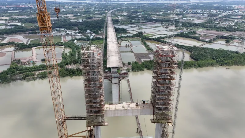 Treated Bamboo Crosses the Pacific: What American Builders Are Learning from Mekong Delta Craftsmanship