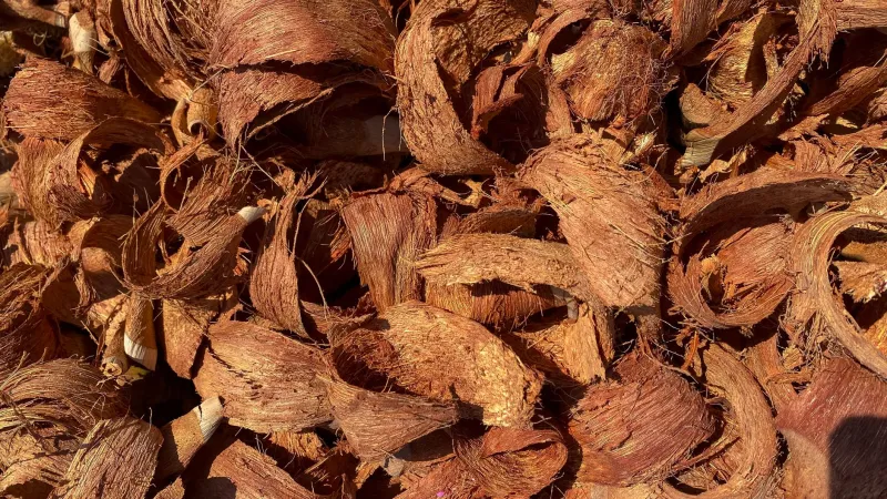Waste Not, Build Smart: A Buyer's Framework for Coconut Husk Panels, Rice Husk Boards, and Other Farm-Byproduct Materials
